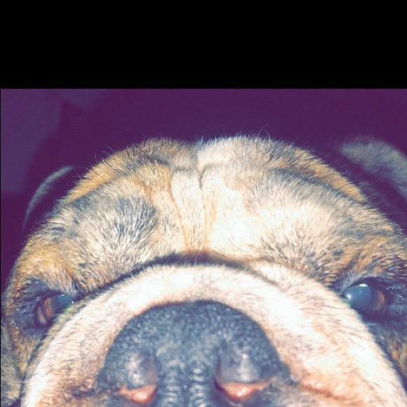 Meet your Posher, Alyssa - Picture 1 of 1